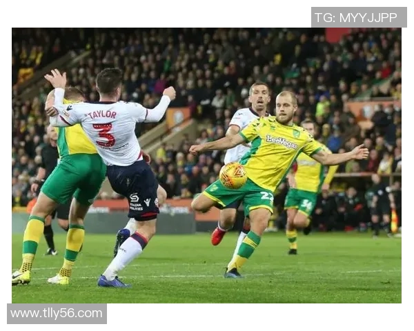 鸟栖沙岩对决湘南海洋激情碰撞期待精彩赛事全景回顾与分析