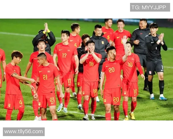 08年奥运国足与新西兰精彩对决视频回顾与分析